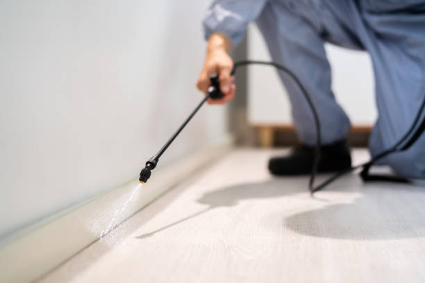 Licensed Fumigation Services service in Campbell County County, TN - Nex Pest Control